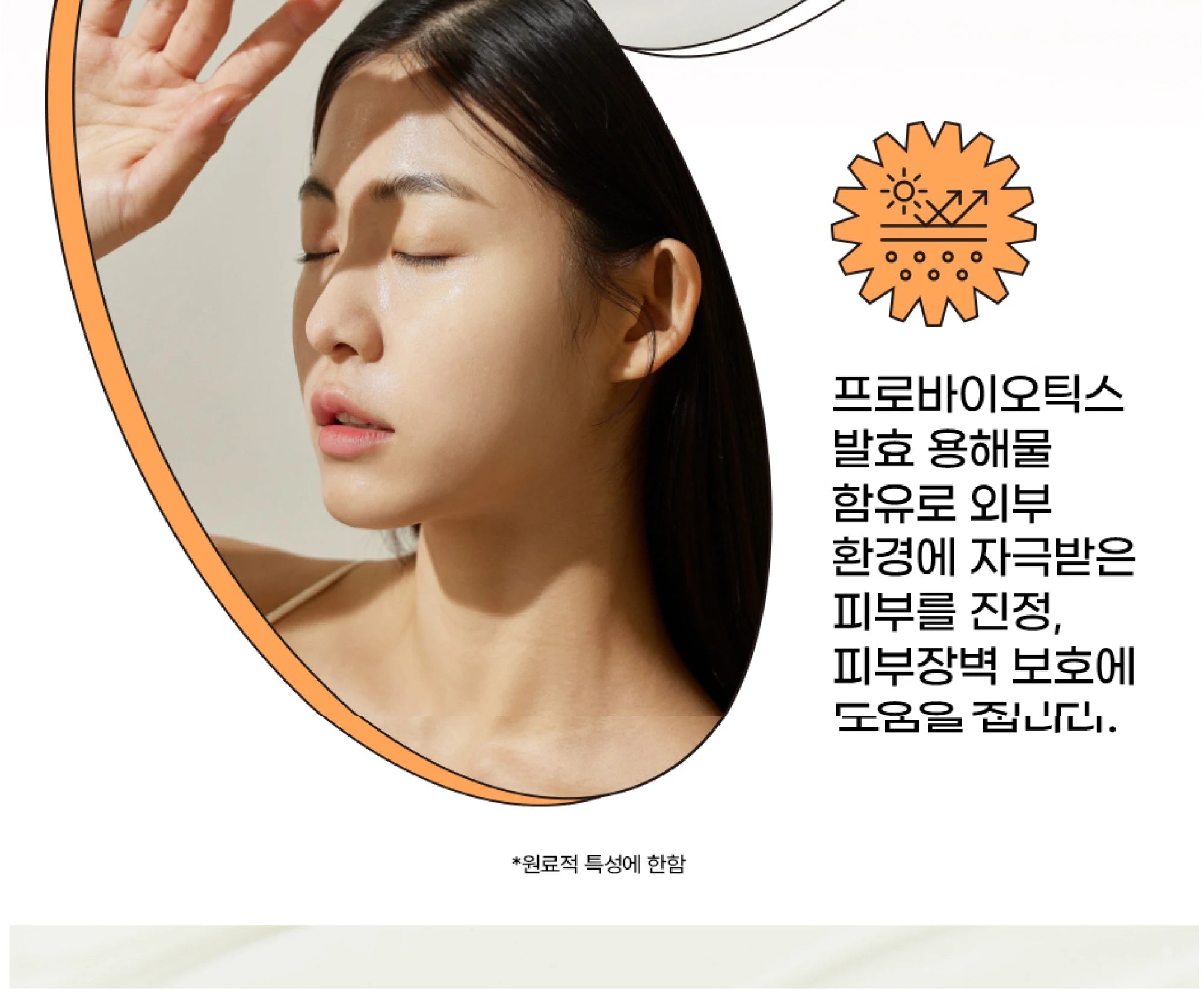 Beauty of Joseon SPF50+ Korean Sunscreen - Rice & Probiotics (50ml)