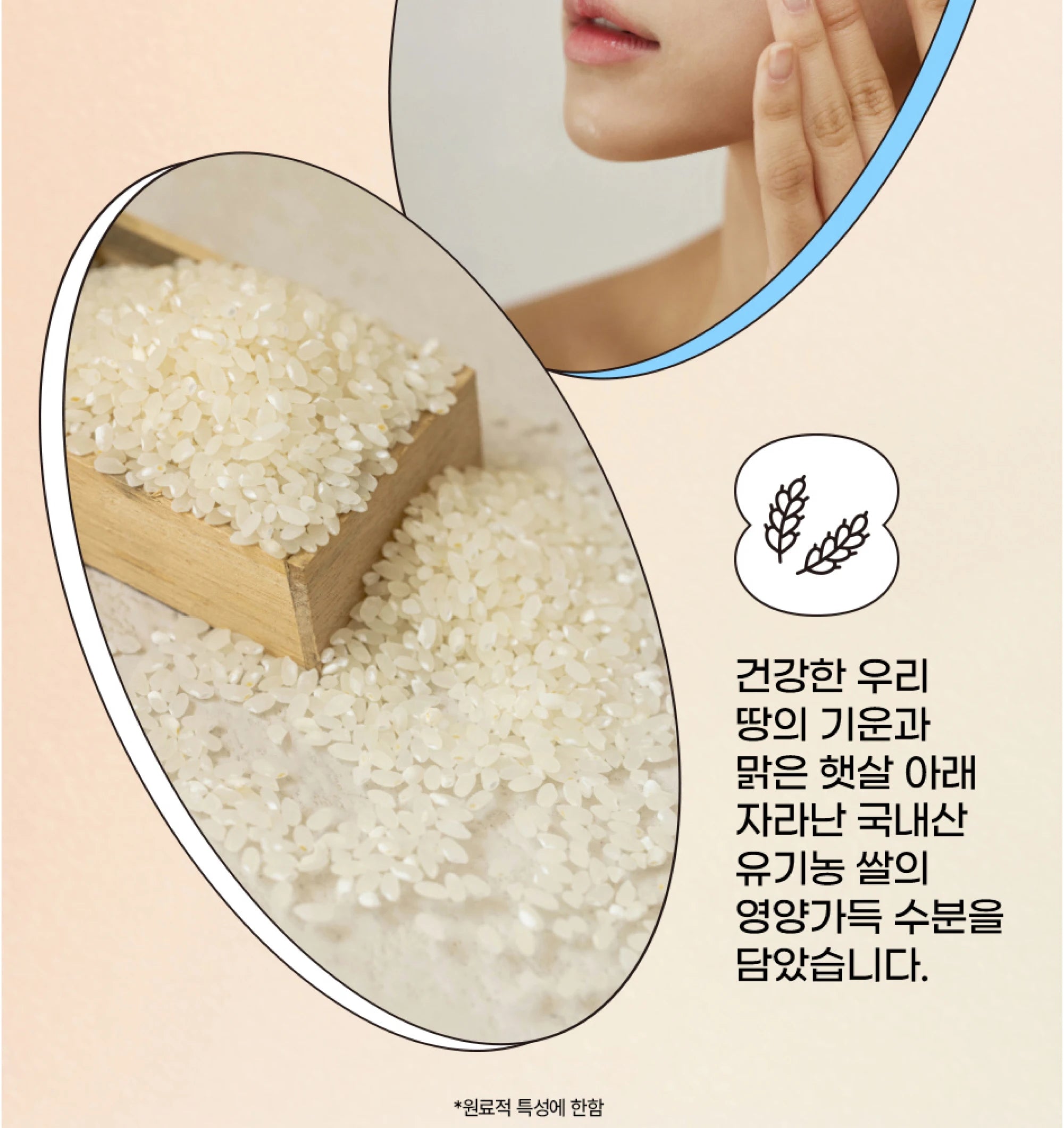 Beauty of Joseon SPF50+ Korean Sunscreen - Rice & Probiotics (50ml)